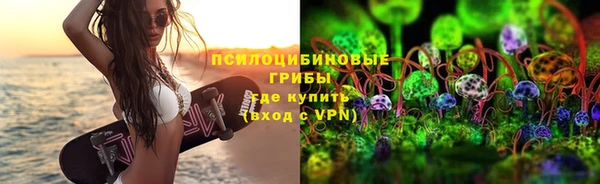 прущие грибы Верхнеуральск