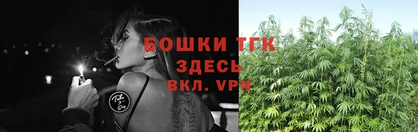 прущие крисы Верхний Тагил
