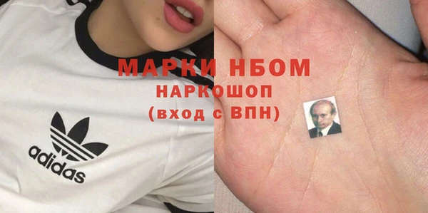 гашик Верея