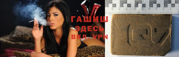 гашик Верея