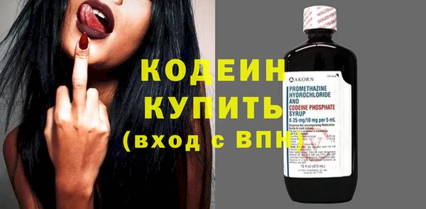 гашик Верея