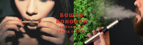 прущие крисы Верхний Тагил