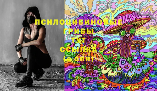 прущие крисы Верхний Тагил