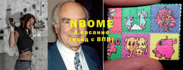 гашик Верея