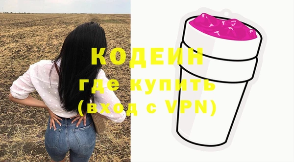 первитин Гусев