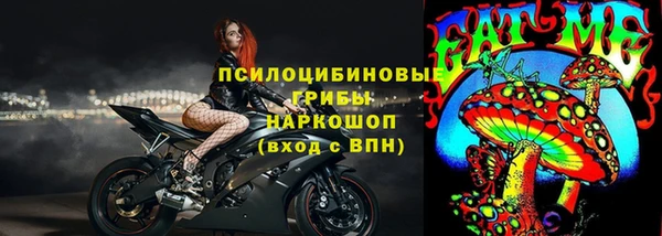 гашик Верея