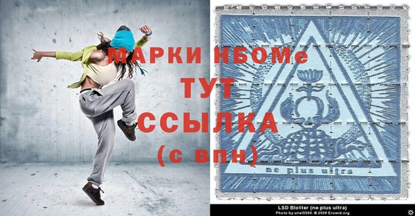 гашик Верея