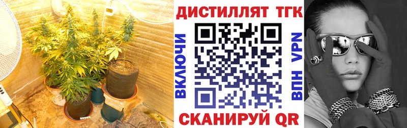 Дистиллят ТГК THC oil  купить  цена  Киров 